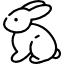 Conejo