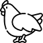 Pollo de Corral
